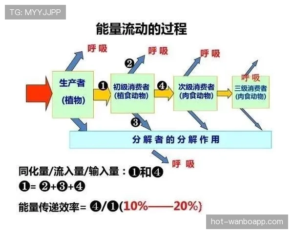 角球直接得分算进球吗？规则中那些易被忽略的细节解析